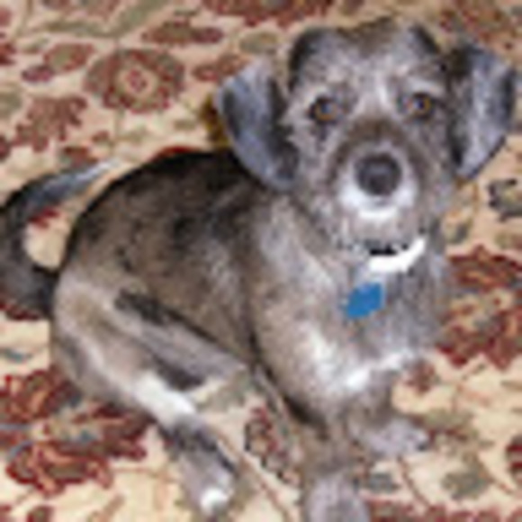 Meet your Posher, Tina - Picture 1 of 1